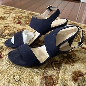 Cole Haan blue suede sandals. Good condition! A little west in bottom.. size 6.